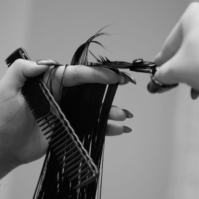 Valentine’s Ends Therapy